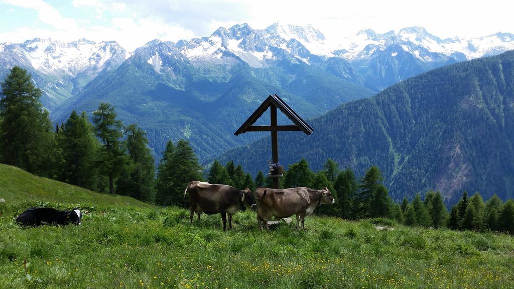 Vila Nestalp Malga Campo Peio Exteriér fotografie
